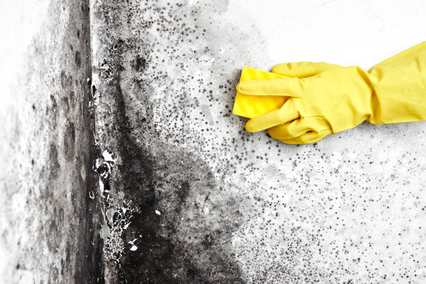 Water Damage Restoration in Teaticket, MA