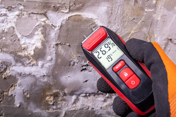 Mold Removal Process in Teaticket, MA