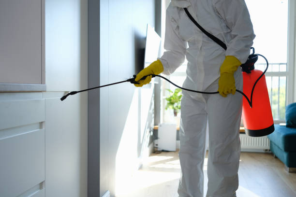 Best Mold Inspection  in Teaticket, MA